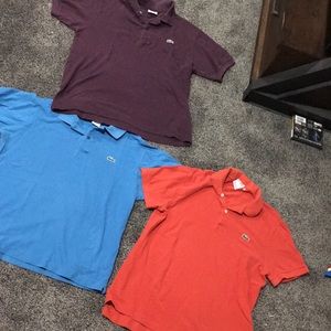 Lacoste polo style bundle